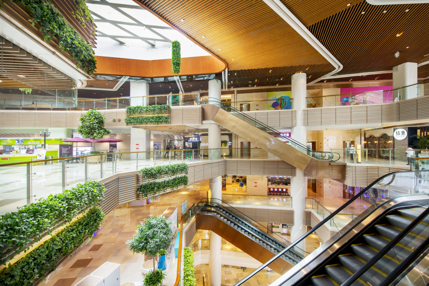 Mall Design Expertise