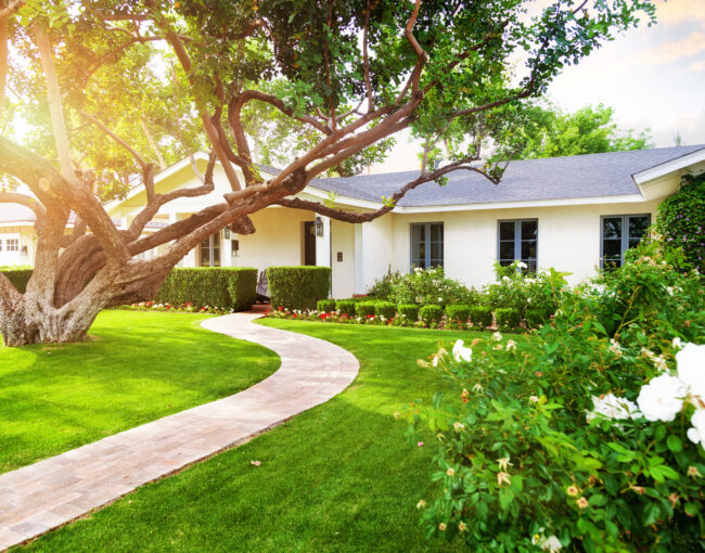 High-End Villa Garden